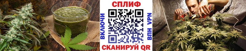 купить   Спасск-Дальний  Canna-Cookies конопля 