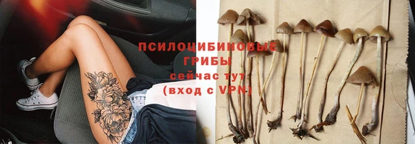 экстази Арсеньев