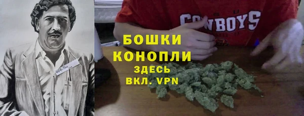 экстази Арсеньев