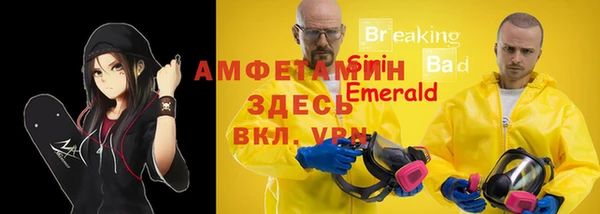 экстази Арсеньев