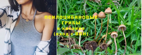 марки nbome Аркадак