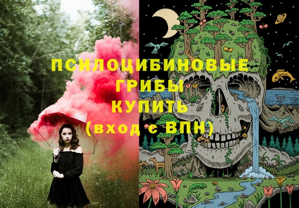 экстази Арсеньев