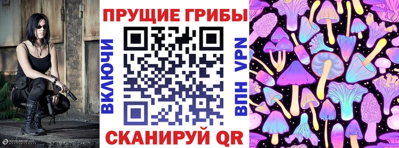 Псилоцибиновые грибы Psilocybine cubensis Спасск-Дальний