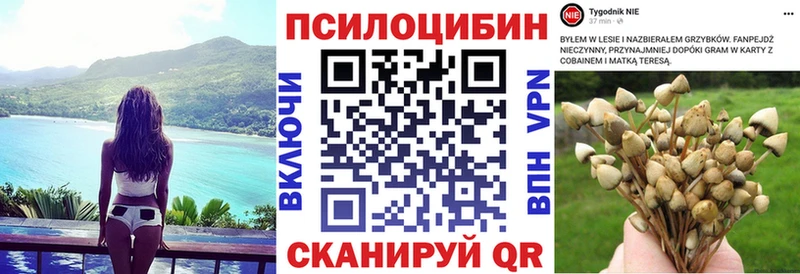 omg ссылка  Спасск-Дальний  Галлюциногенные грибы прущие грибы 